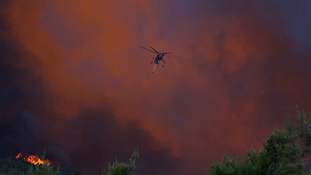 Warum die EU in ihrer neuen Waldbrandstrategie auf Prävention setzt