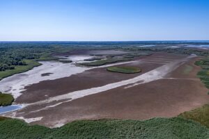 EU-Länder werden aufgefordert, in Pläne zur Wiederherstellung der Natur zu investieren und das jährliche Defizit von 65 Milliarden Euro zu schließen