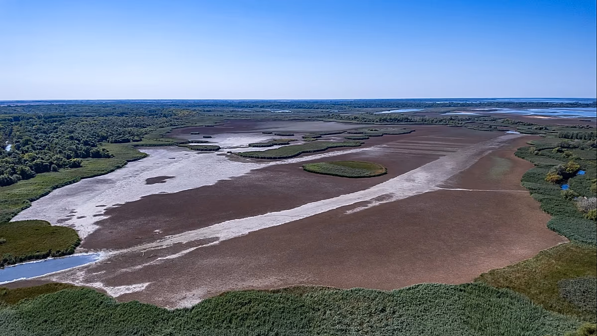 EU-Länder werden aufgefordert, in Pläne zur Wiederherstellung der Natur zu investieren und das jährliche Defizit von 65 Milliarden Euro zu schließen