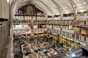 Museum der Universität Oxford übergibt sterbliche Überreste von 39 Menschen an die indische Naga-Gemeinschaft