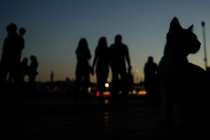 Studie: Einwohner Istanbuls meiden Kultur und Kunst, wobei hohe Eintrittspreise das Haupthindernis darstellen