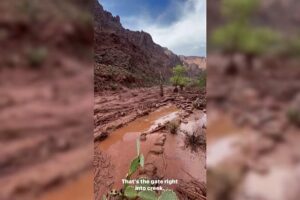 Sturzflut trifft Phantom Ranch im Grand Canyon