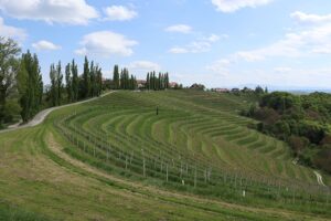 Dies sind die besten Weinregionen Europas, wobei Slowenien vor Frankreich und Italien den Spitzenplatz einnimmt