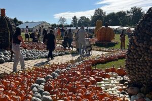 Kürbisse zertrümmern: Das jährliche Squash-Festival lockt Tausende ins Brüsseler Schloss