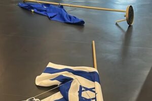 Metsola wird Maßnahmen ergreifen, nachdem Europaabgeordnete Rima Hassan die israelische Flagge entfernt hat