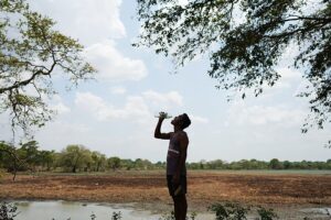 Trockene Brunnen und schrumpfende Wasserlöcher, während die Dürre Sri Lanka erfasst. Die anhaltende Dürre in Zentral-Sri Lanka lässt Brunnen trocken, beeinträchtigt die Lebensgrundlage der Bauern und drängt die Tierwelt dazu, die schrumpfenden Wasserlöcher zu verdrängen. 10.08.2026